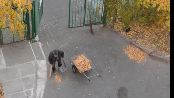 一位年事已高的看门人清扫着房子院子里秋天的黄叶 — 图库视频影像