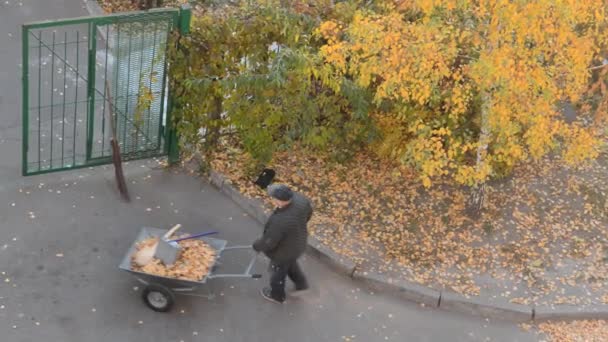 Een Oudere Conciërge Veegt Herfst Geel Gebladerte Binnenplaats Van Het — Stockvideo