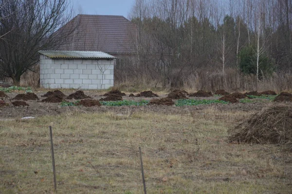 准备在菜园里施肥过冬的一堆干草和粪肥 — 图库照片