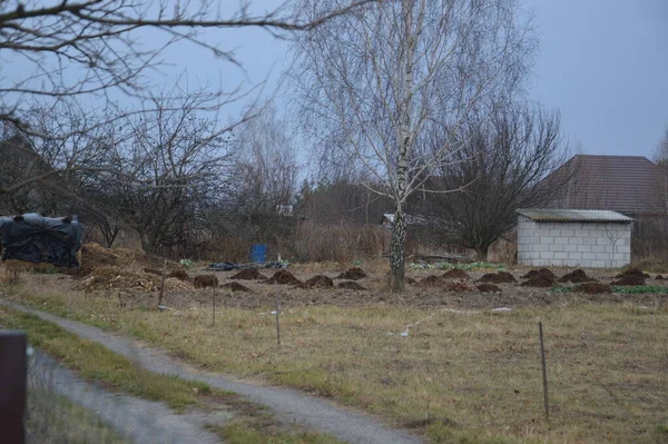 Купка Сіна Гною Готова Запліднення Овочевому Саду Зиму — стокове фото