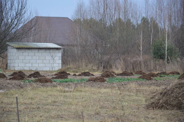 Stos Siana Obornika Przygotowany Nawożenia Ogrodzie Warzywnym Zimę — Zdjęcie stockowe