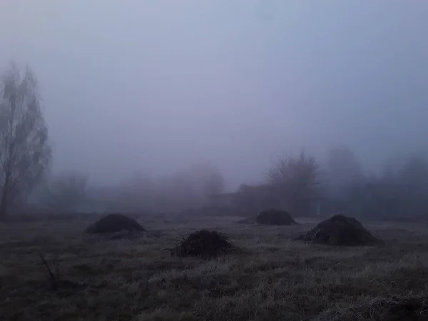 Morning Fog Countryside — Stock Photo, Image
