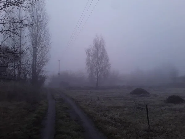 Morgennebel Grünen — Stockfoto