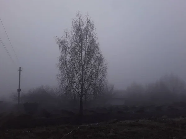 Morning Fog Countryside — Stock Photo, Image