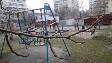 Kış başında donmuş ağaç dalları