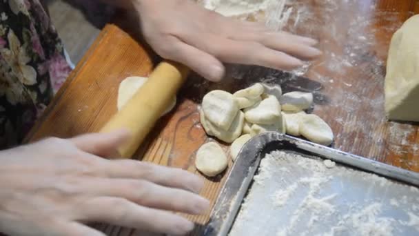 Woman Sculpts Dumplings Home — Stockvideo