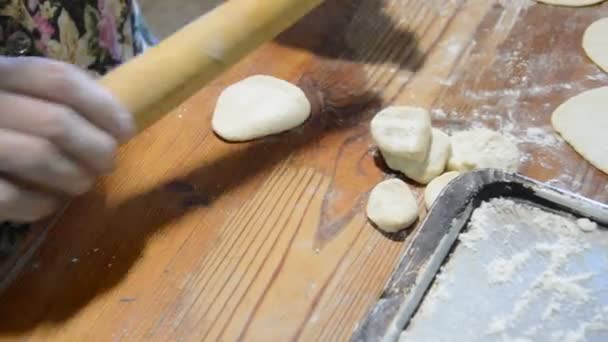 Woman Sculpts Dumplings Home — Stock Video