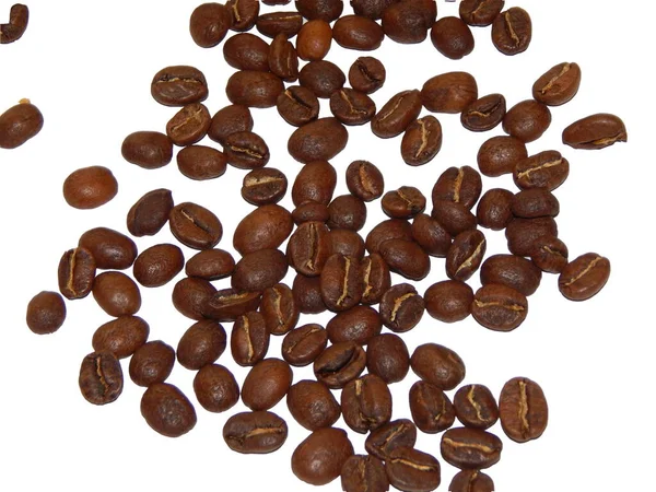Sprinkled Coffee Beans Agriculture Arabica — Stockfoto
