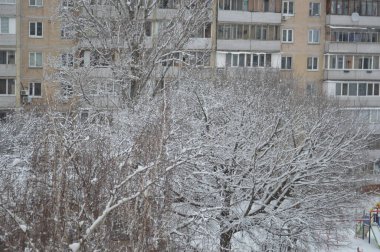Şehirde karla kaplı dallar ve ağaç gövdeleri
