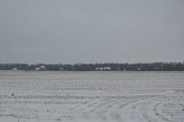Kışın karla kaplı bir tarım alanının manzarası