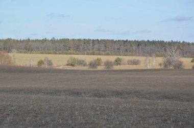 Kışın tarım alanının manzarası