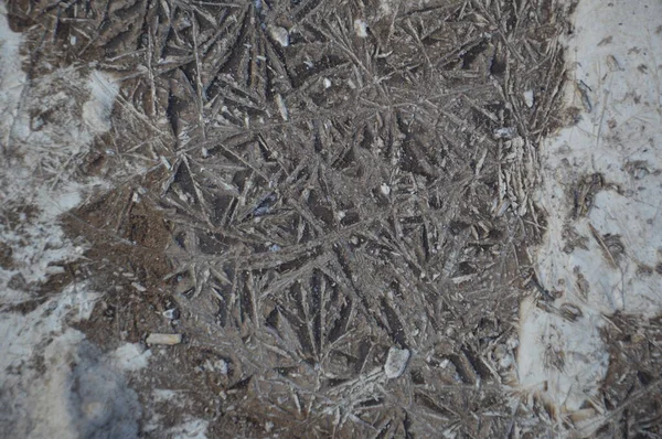 Ice Texture Ground Winter Patterns — Stockfoto
