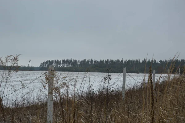 Panorama Agricultural Field Covered Snow Winter — стоковое фото