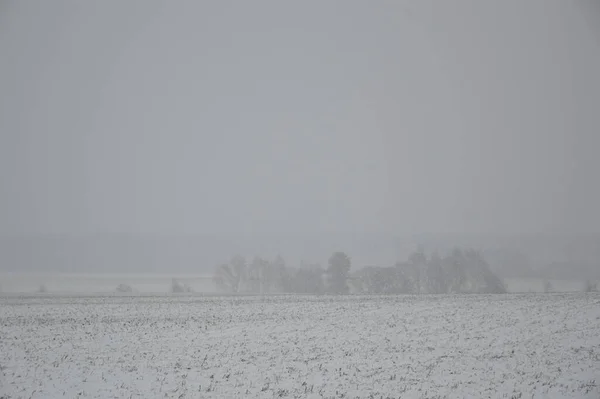 Panorama Agricultural Field Covered Snow Winter — Fotografia de Stock