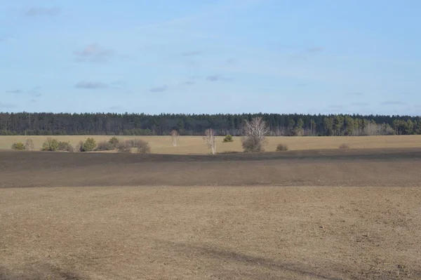 Panorama Agricultural Field Winter — ストック写真