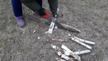 Woman cuts wood with a hand saw, bringing it from the forest