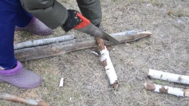 Woman cuts wood with a hand saw, bringing it from the forest