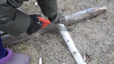 Woman cuts wood with a hand saw, bringing it from the forest