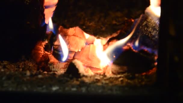 Leña Está Ardiendo Caja Fuego Una Estufa Hierro Fundido Para — Vídeos de Stock