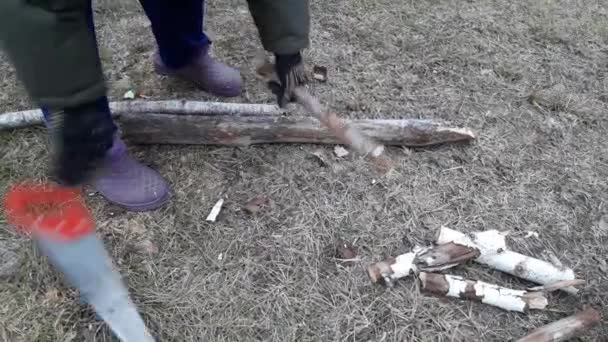 Woman Cuts Wood Hand Saw Bringing Forest — Vídeos de Stock