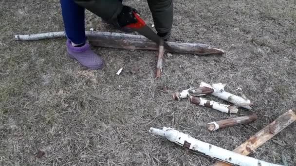 Vrouw Zaagt Hout Met Een Handzaag Brengt Het Uit Het — Stockvideo