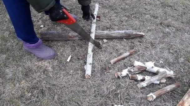 Kadın Ormandan Getirerek Bir Testeresiyle Odun Kesiyor — Stok video