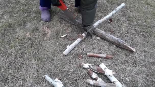 Woman Cuts Wood Hand Saw Bringing Forest — Vídeo de stock