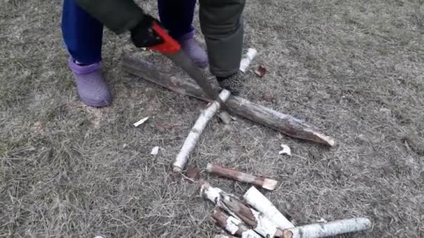 女性は手で木を切り 森からそれを持って来ます — ストック動画