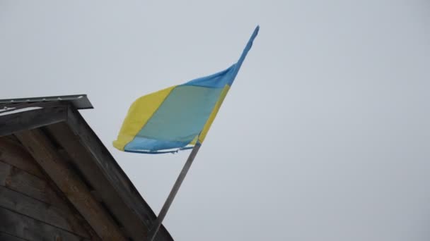 Antigua Bandera Ucraniana Ondeando Viento — Vídeo de stock