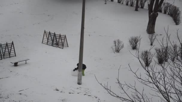 Junger Mann Rollt Einen Schneeball Für Einen Schneemann — Stockvideo