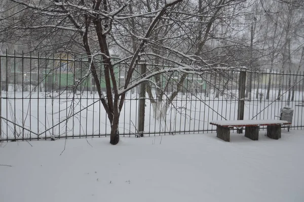 Città Innevata Alberi Animali Quando Nevicò — Foto Stock