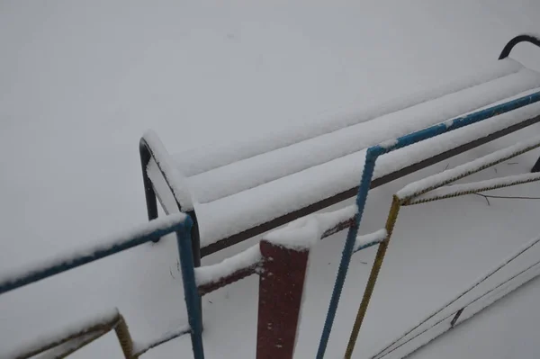 Verschneite Stadt Bäume Tiere Wenn Schneit — Stockfoto