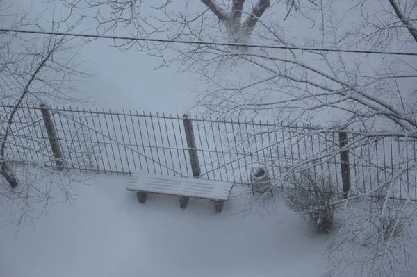 Città Innevata Alberi Animali Quando Nevicò — Foto Stock