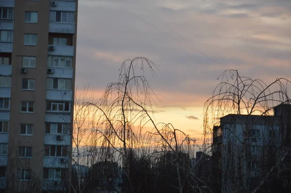 Neubauten Vor Rosa Wolken Der Stadt — Stockfoto