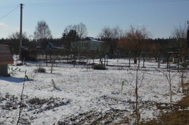 Kışın karla kaplı kırsal binalar.