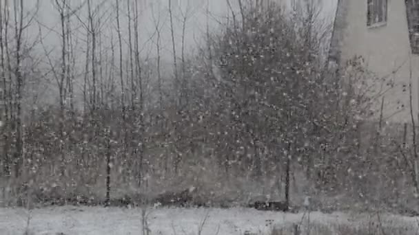 Χιονίζει Έρχεται Στην Ύπαιθρο — Αρχείο Βίντεο