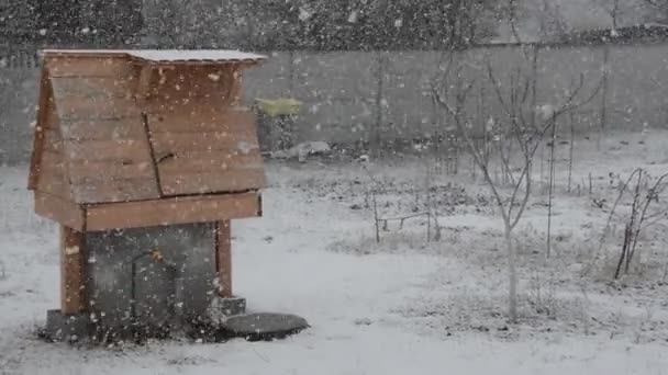 田舎では雪が降っている — ストック動画