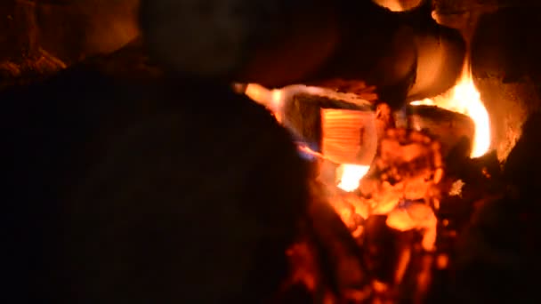 Fırında Yanan Odun Ateşi — Stok video