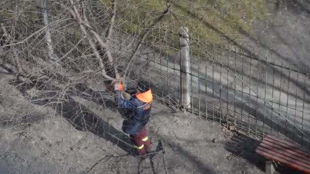 Energieversorger Fällen Bäume Auf Der Straße Mit Der Kettensäge — Stockvideo