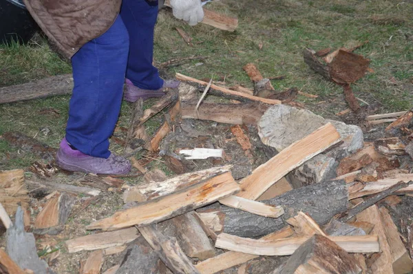 Samla Ved Efter Skärning För Torkning Och Uppvärmning Huset — Stockfoto