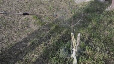 Ağaçları ve bitkileri korumak için bir çözüm üretiyor.