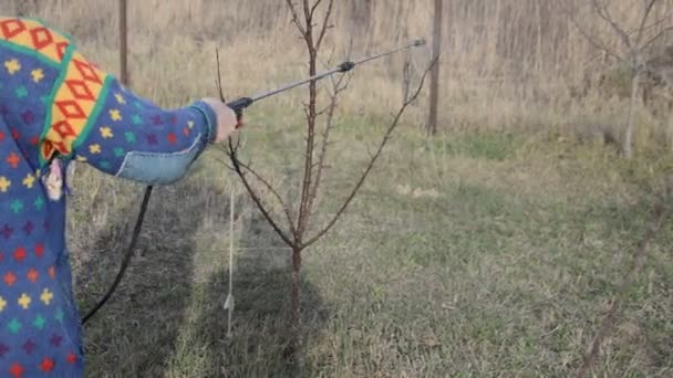 Bäume Und Pflanzen Mit Einer Lösung Zum Schutz Besprühen — Stockvideo