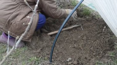 Baharda sebze ekmek için toprağı ve yatakları ayıklıyorum.