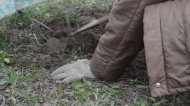 Baharda sebze ekmek için toprağı ve yatakları ayıklıyorum.