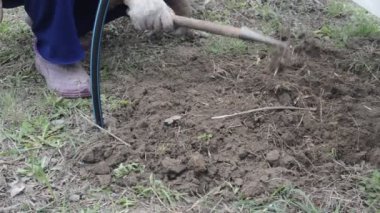 Baharda sebze ekmek için toprağı ve yatakları ayıklıyorum.