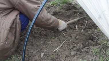 Baharda sebze ekmek için toprağı ve yatakları ayıklıyorum.