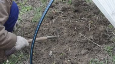 Baharda sebze ekmek için toprağı ve yatakları ayıklıyorum.