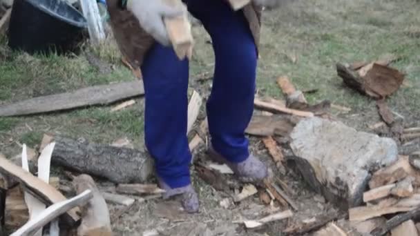Układanie Drewna Opałowego Cięciu Suszenia Podgrzewania Domu — Wideo stockowe