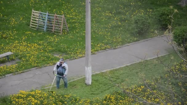 Elderly Man Mows Petrol Trimmer Garden — Stockvideo
