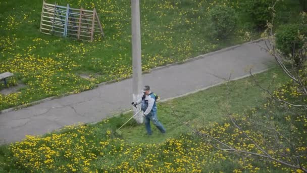 Elderly Man Mows Petrol Trimmer Garden — Vídeos de Stock
